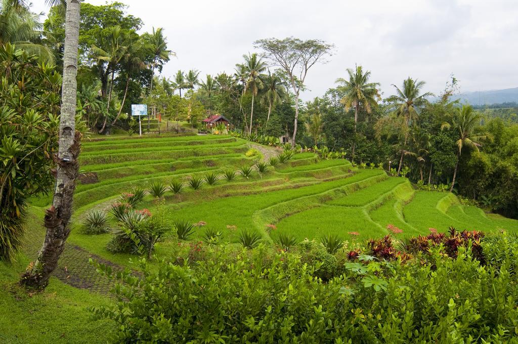 Puri Asri Hotel & Resort Magelang Luaran gambar